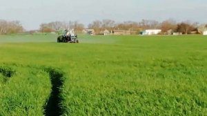 ГРАФ ЗАБОЛЕЛ, фунгицидная обработка пшеницы Граф, мучнистая роса