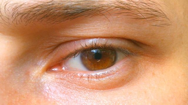 Управляемая аккомодация глаза / Manually accommodation eye смотреть онлайн