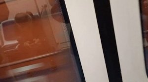 Поездка по всей 3 Невско-Василеостровской линии 1 часть Приморская-Ломоносовская