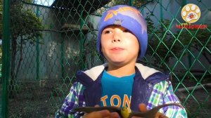 ЯСТРЕБЫ и Ко Деагостини ПРОТИВ Настоящих