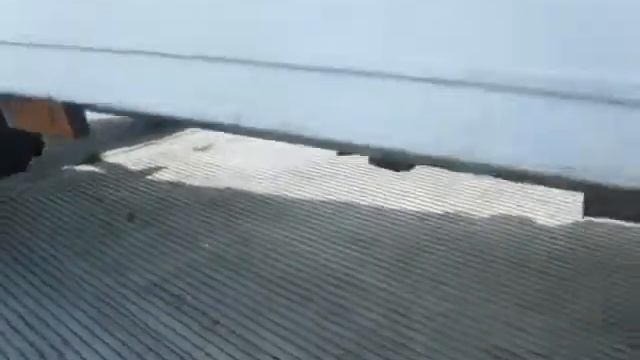 DSCF8536 смотреть онлайн