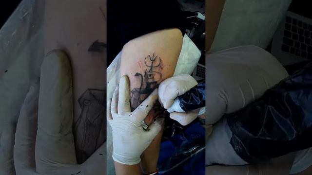 Люцик Разочарование \ Disenchantment Тату в Донецке смотреть онлайн