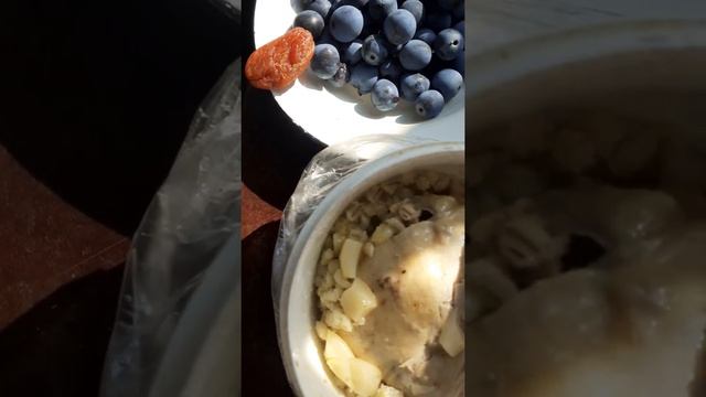 Мой воскресный обед на даче - похлёбка перловая, кусок курочки, тёрн и курага смотреть онлайн