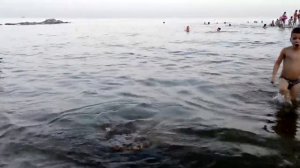 Таганрог. Пляж. Вечерняя водичка очень тёплая и чистая. В среднем в море купаются по 45 мин.