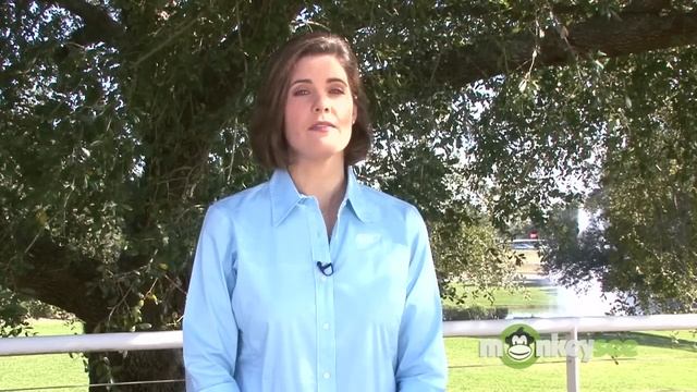 Seat Belt Safety Facts смотреть онлайн