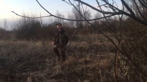 охота с русской гончей ( натаска гончих)