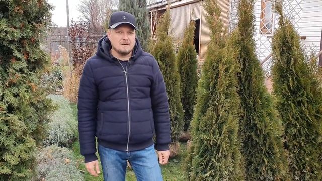 Купили туи " Смарагд " . Посадка живой изгороди в 10 метров. Садовый влог. смотреть онлайн