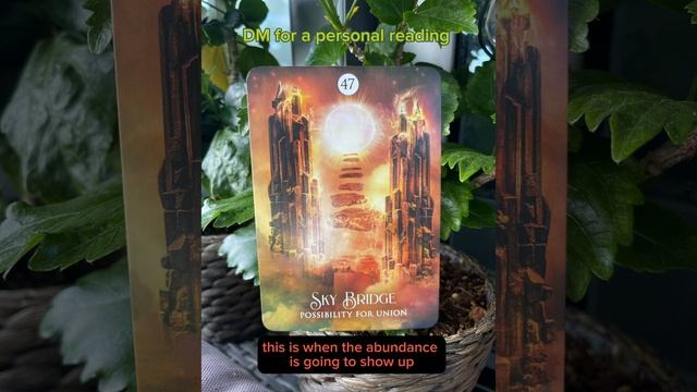 Your oracle card of the day - Sky Bridge (Possibilty for Union) смотреть онлайн