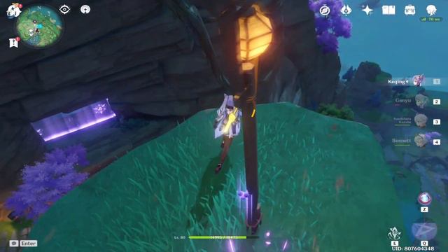 How to get the last electroculus in Grand Narukami Shrine (Genshin Impact) смотреть онлайн