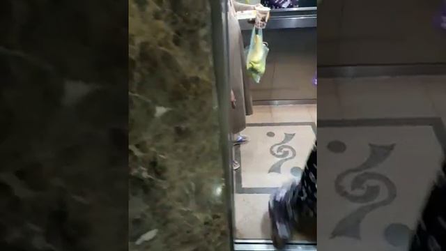 HOW TO USE LIFT IN HOTEL SHOPING CENTER смотреть онлайн