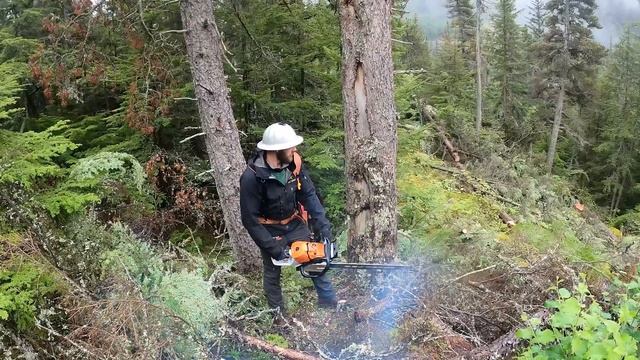 How They Log Trees In ALASKA! смотреть онлайн