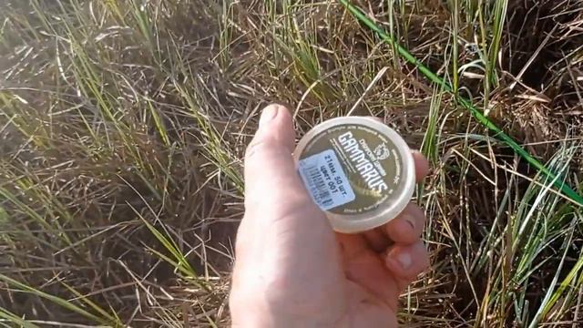 тестированние искусственного гаммаруса смотреть онлайн