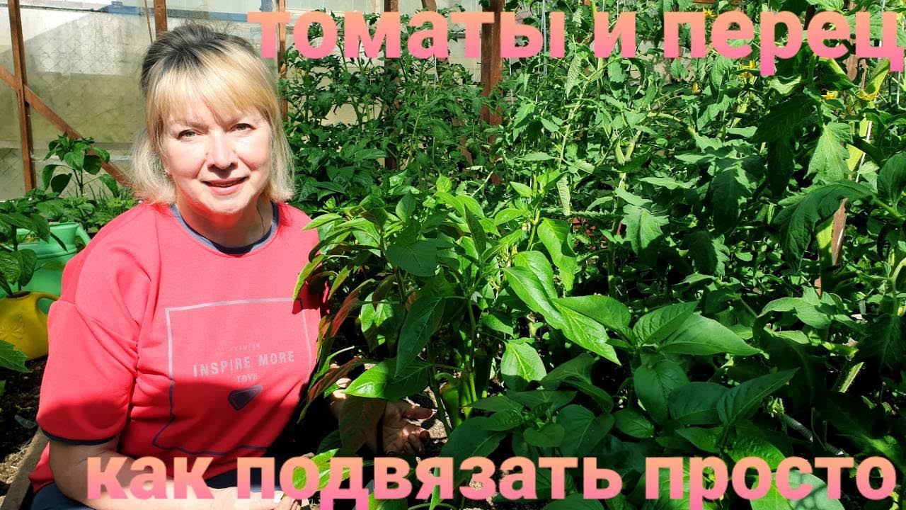 Как ПОДВЯЗАТЬ ТОМАТЫ просто. НОВЫЙ СПОСОБ ПОДВЯЗКИ ПЕРЦА -10 минут и готово. смотреть онлайн