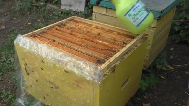 ПОДГОТОВКА ПЧЕЛ к ЗИМЕ. Профилактическая обработка эндовиразой смотреть онлайн