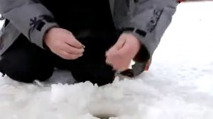 Рыбалка с Нормундом Грабовскисом   Ловля корюшки зимой