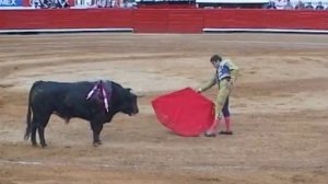 Вокруг Света - История корриды в Мексике