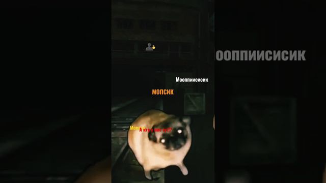 мопсик #мем #мопсы #танцуют #под #радио #бандитов ВИДЕО НЕ МОЕ ХЕЙТ=УДАЛЮ КОММ смотреть онлайн