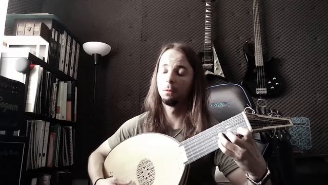 Crimson Towers (Lute Cover) смотреть онлайн