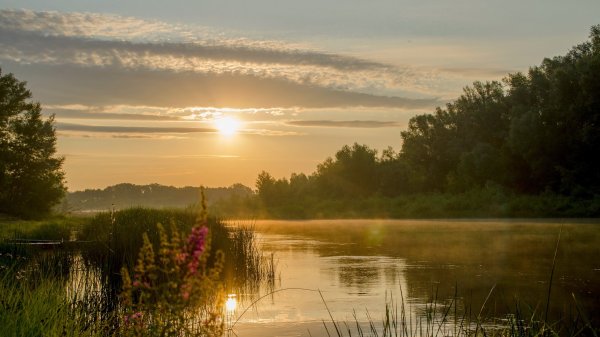 Эдвард Григ - Песня Сольвейг -  Edvard Grieg -  Solveig's Song