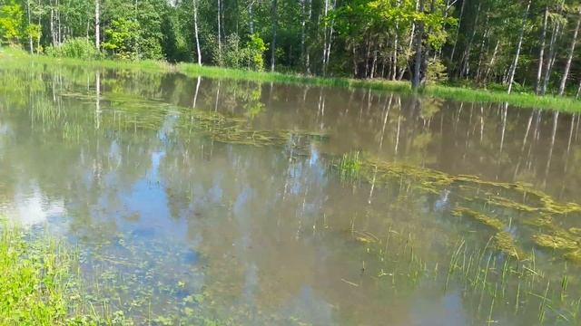 Обзор пруда рядом с Экоранчо рыбалка смотреть онлайн