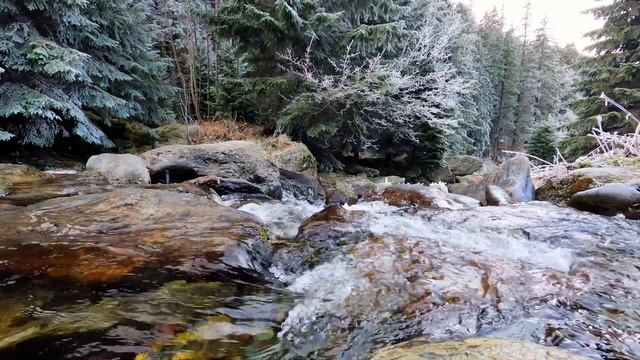 Relaxing River Sounds-Peaceful Forest River-2 Hours Long Расслабляющие звуки реки-Мирная лесная рек смотреть онлайн