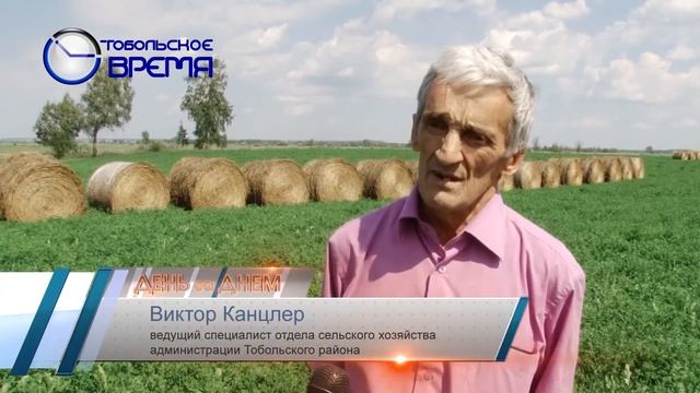 СЕНОКОС 2 смотреть онлайн