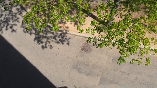 Яйца вниз с балкона 6 этаж смотреть онлайн