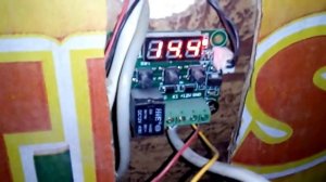 обзор моего самодельного  инкубатора , ИНКУБАТОР СВОИМИ РУКАМИ "БАНАН-2015"