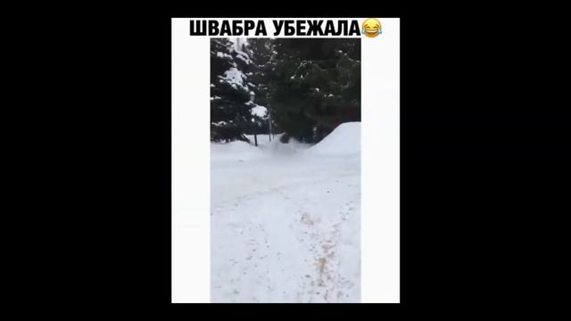 ПРИКОЛЫ 2021 Март # ржака до слез угар прикол смотреть онлайн