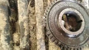 Застучал мотор.... МТЗ 1221