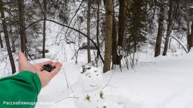 Лечебная музыка для сердца и сосудов! До слез красивая мелодия! Спокойная Музыка Для Снятия Стресса смотреть онлайн