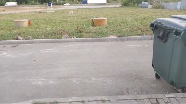 Стрим Екб смотреть онлайн