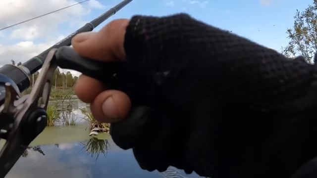 Осенняя рыбалка на СПИННИНГ! Ловля ЩУКИ в закоряженном водоёме! смотреть онлайн