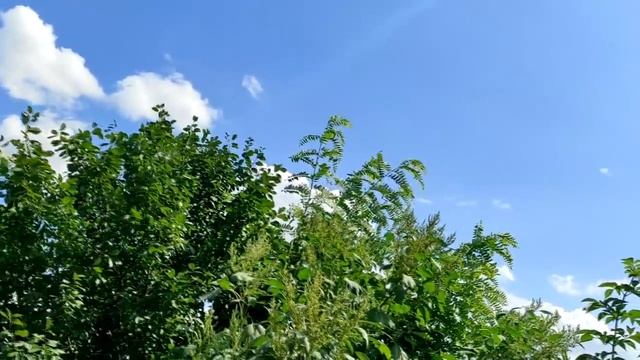 10 признаков, что вы выбрали не того мужчину. смотреть онлайн