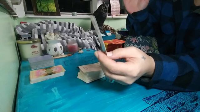 Alignment Taropy #allsigns #collective #divination #tarotreader #alignment #chakras смотреть онлайн