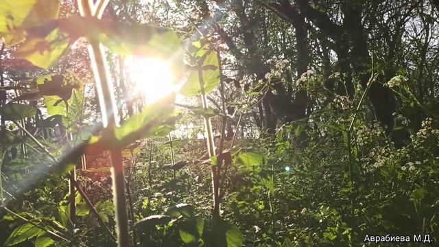 Старогладовская. Постелью моей будет земля...🍂 смотреть онлайн