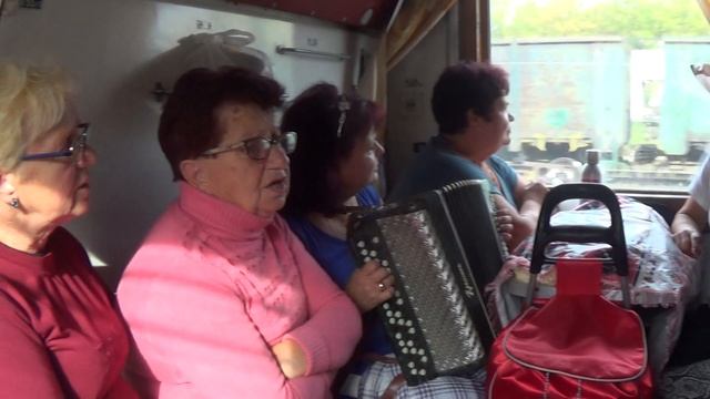 Летят перелетные птицы гнездовья- Песни под баян для души смотреть онлайн