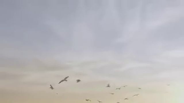 Сочту за справедливость смотреть онлайн