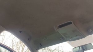 Чем убрать плесень в салоне автомобиля
