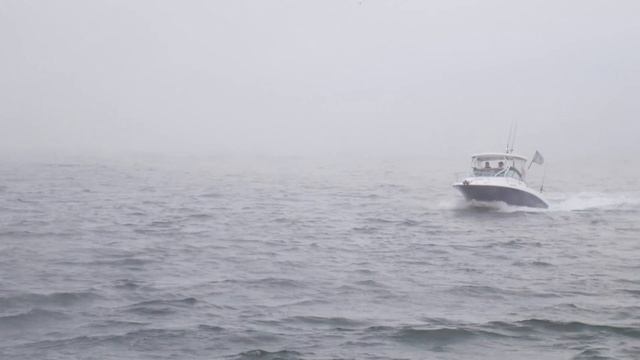 In the end (cover) /panasonic lumix 4k смотреть онлайн