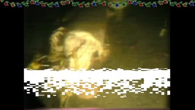 6.01.22 Ужасы из постели/FlynnFlyTaggart смотреть онлайн
