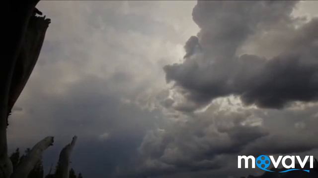 Сильное напоминание. Благодари АЛЛАХА ☝️ смотреть онлайн