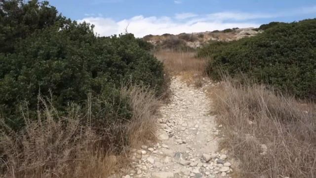 Cyprus Guided Walks: Amathounta Archaeological Area (Limassol) смотреть онлайн