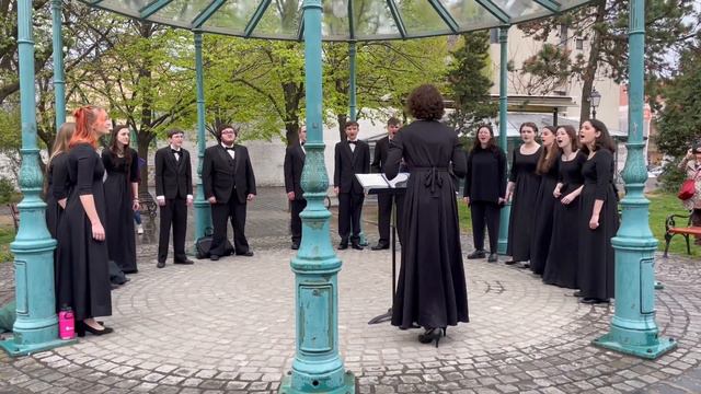 Daemon Irrepit Callidus by Gyorgy Orban смотреть онлайн