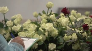 ГК Горкунов. Розы