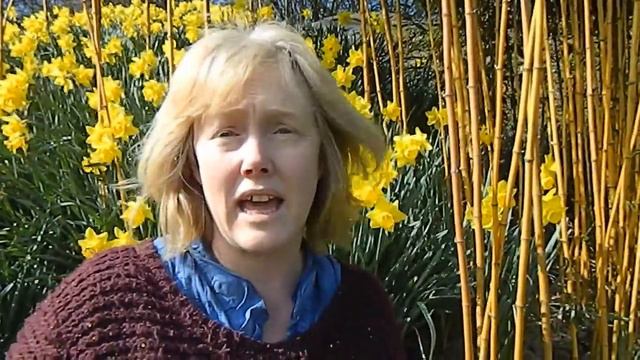 Le Primule e la Rivoluzione Francese смотреть онлайн