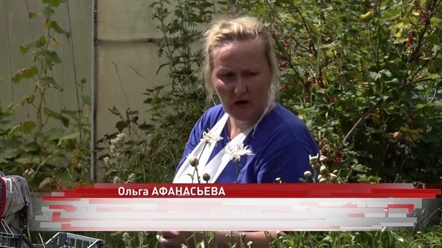 Под Ярославлем пожар оставил без крыши над головой целую семью смотреть онлайн