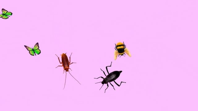 CAT GAMES - Catching Mice ? Beetle ? Cockroach ? Bee ? Butterflies ? String ✔ Video for Cats смотреть онлайн