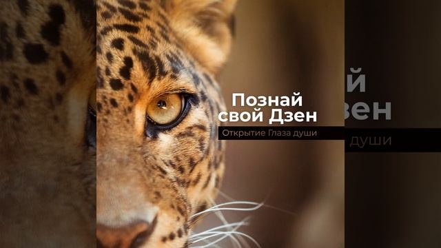 Переход в пространство смотреть онлайн