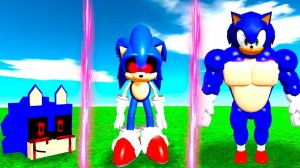 ЭВОЛЮЦИЯ СОНИКА ОТ РЕБЕНКА НУБА ДО ПРО КАЧКА В СИМУЛЯТОРЕ ЭВОЛЮЦИИ СОНИКА В РОБЛОКС !